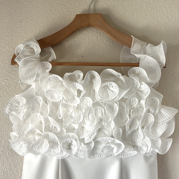 ZARA PLEATED RUFFLES BLOGGER  FAVORITES MINI DRESS SIZE LARGE - Picture 9 of 12